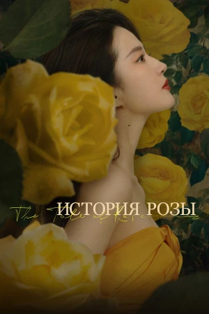 История розы в hd качестве