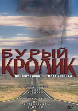Бурый кролик в hd качестве