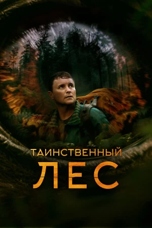 Таинственный лес в hd качестве