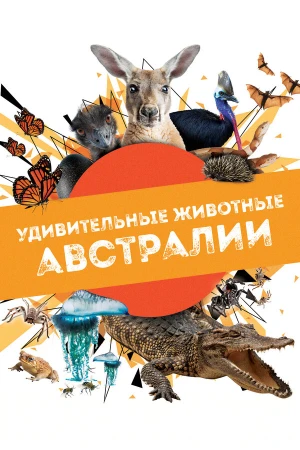 Удивительные животные Австралии в hd качестве