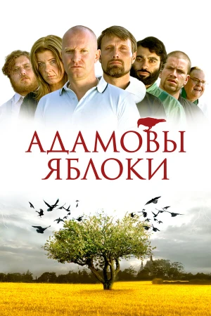Адамовы яблоки в hd качестве