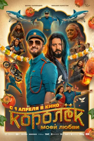 Королёк моей любви в hd качестве