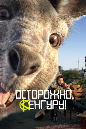Осторожно, Кенгуру! в hd качестве